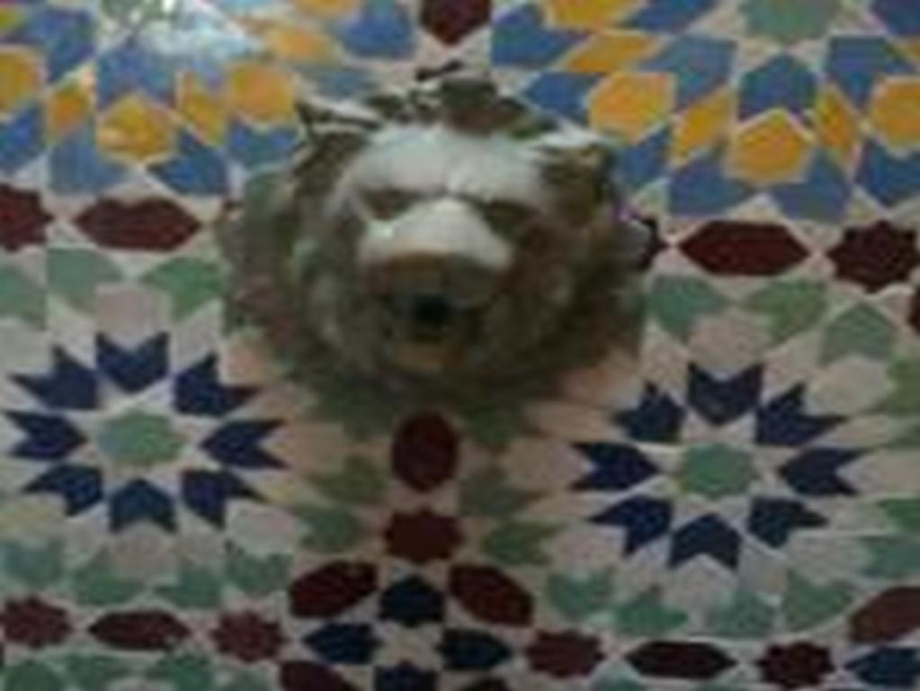 Riad Etoile D'As-Sawíra Exteriér fotografie